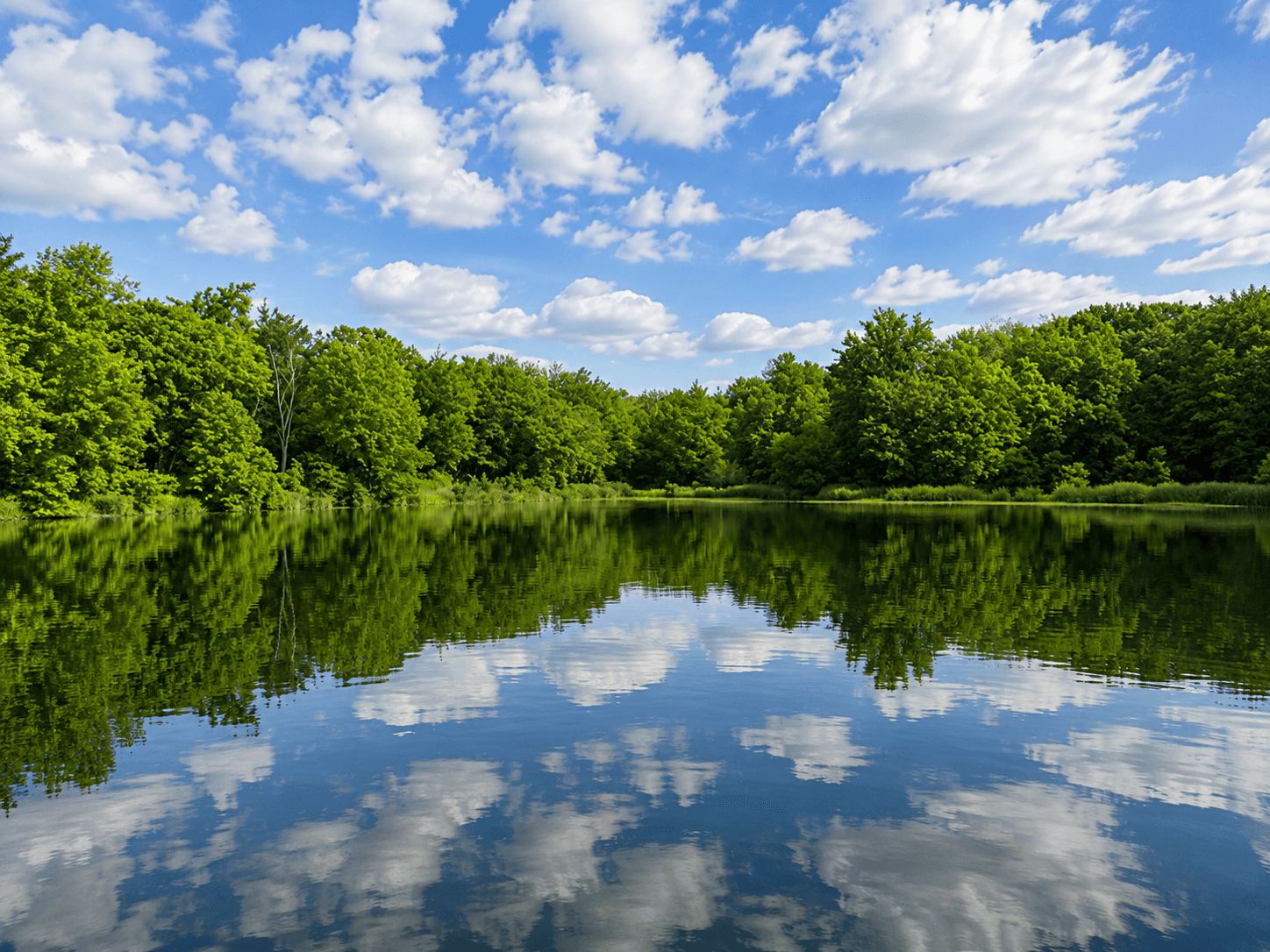 Little Lake